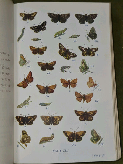 Butterflies & Moths of the United Kingdom Egmont Kirby First Edition Routledge 8