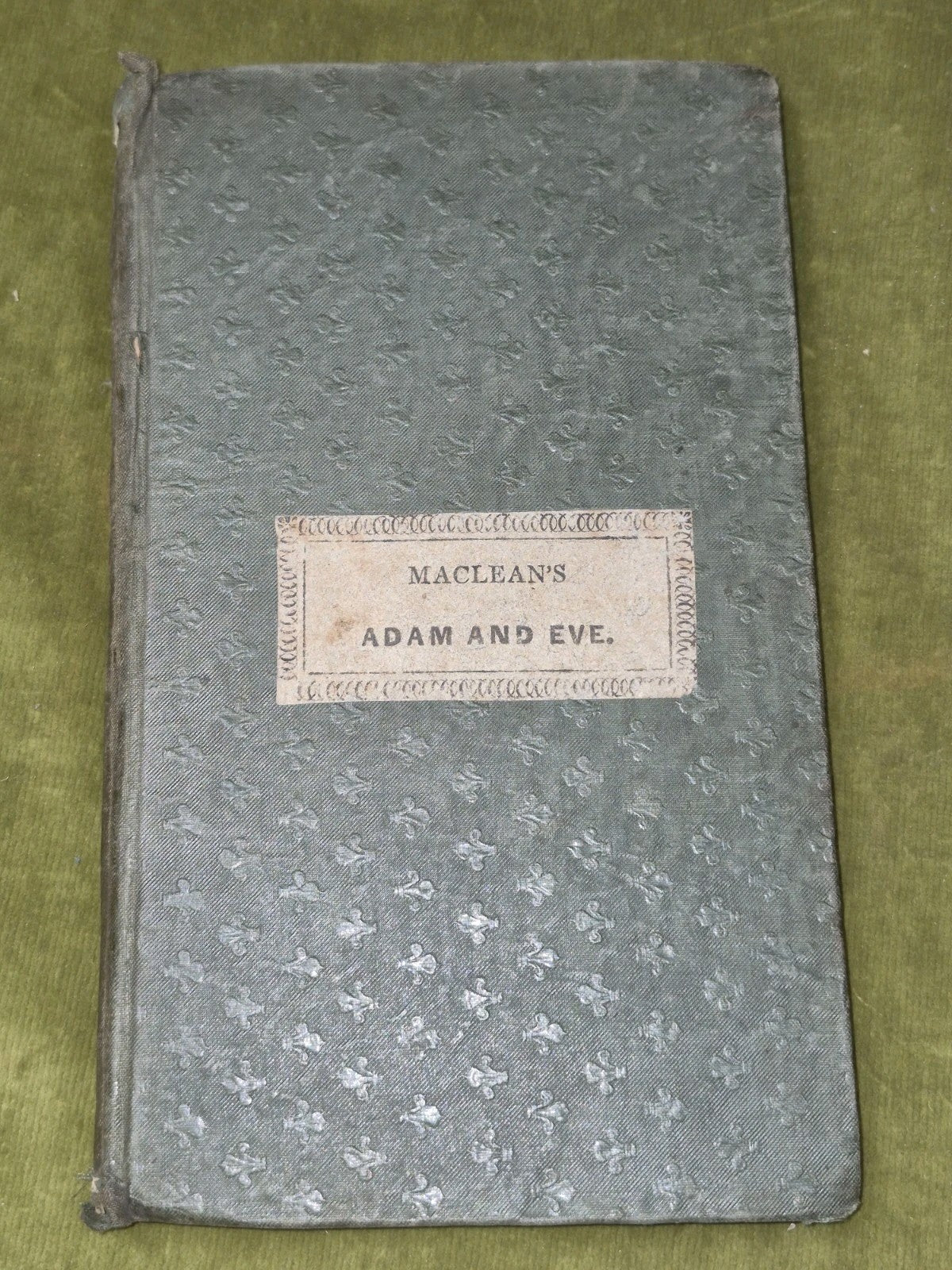 Adhamh Agus Eubh Craobh Sheanachais nam Gael Lachlan 1837 Mac'leon0