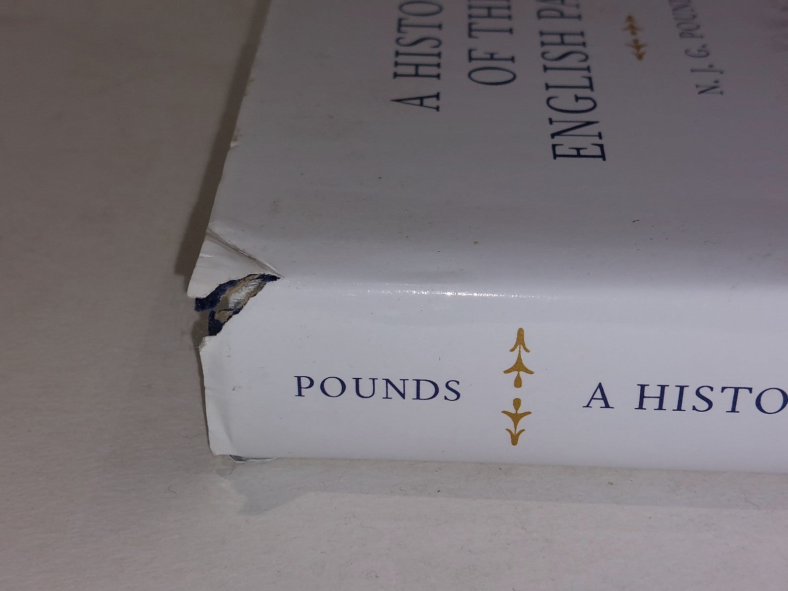 A History of the English Parish By N. G. Pounds (2000) 2