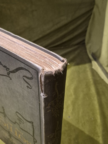 Sandro Botticelli and his School - Count Plunkett - Bell 1900 HB5