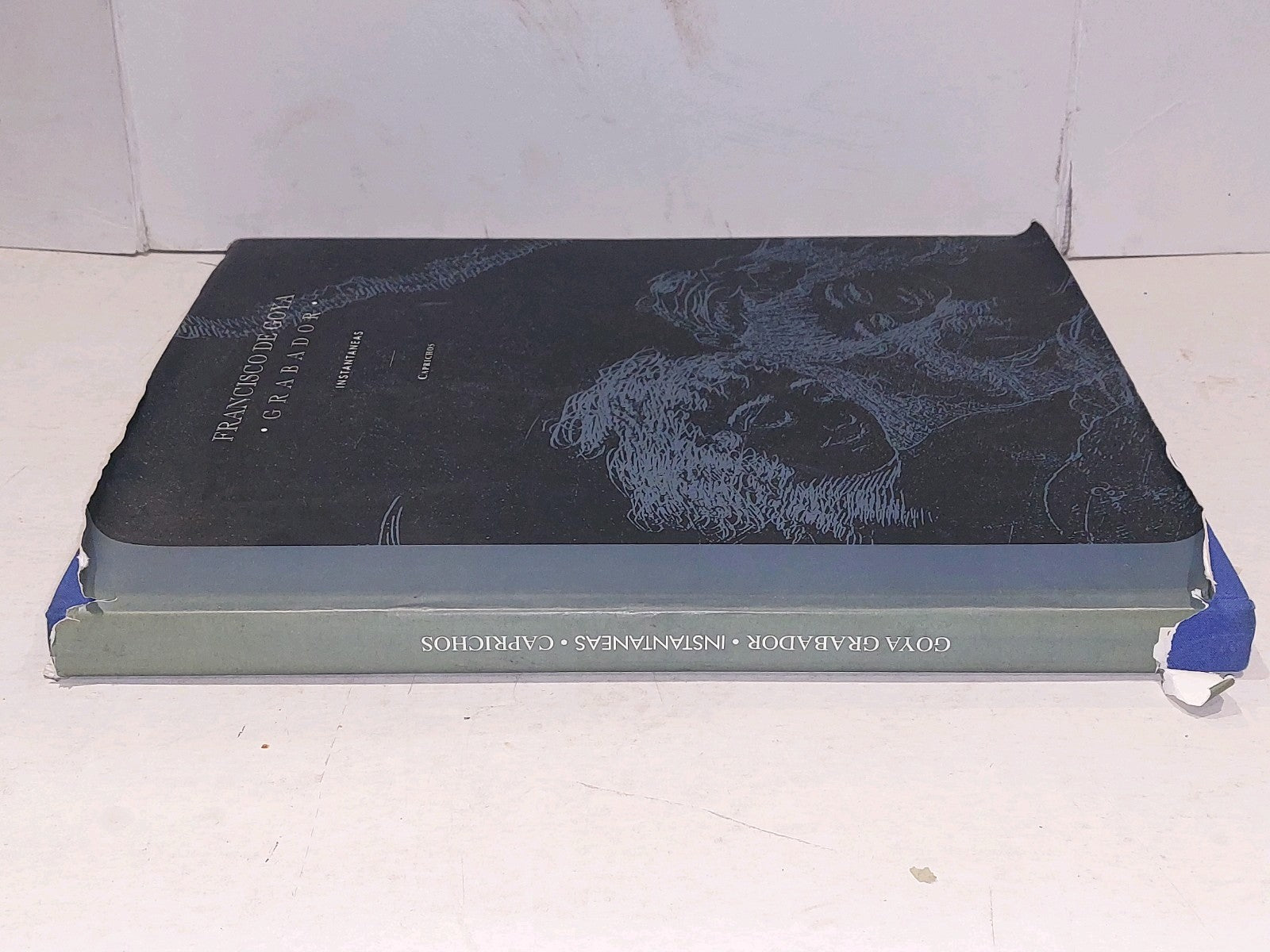 francisco de goya  grabador  instantaneas  caprichos (1992) madrid hb book9
