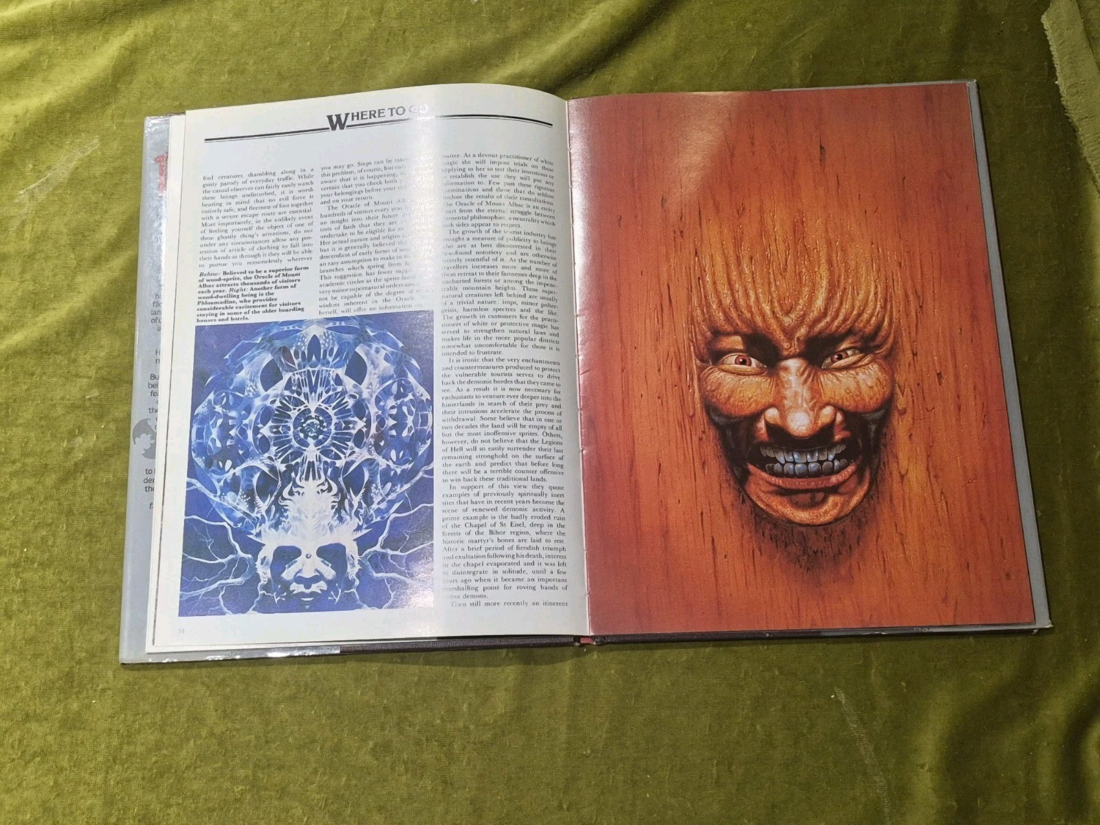 The Tourists Guide To Transylvania - Ignatius De Ludes-  1981 Octopus HB DJ6