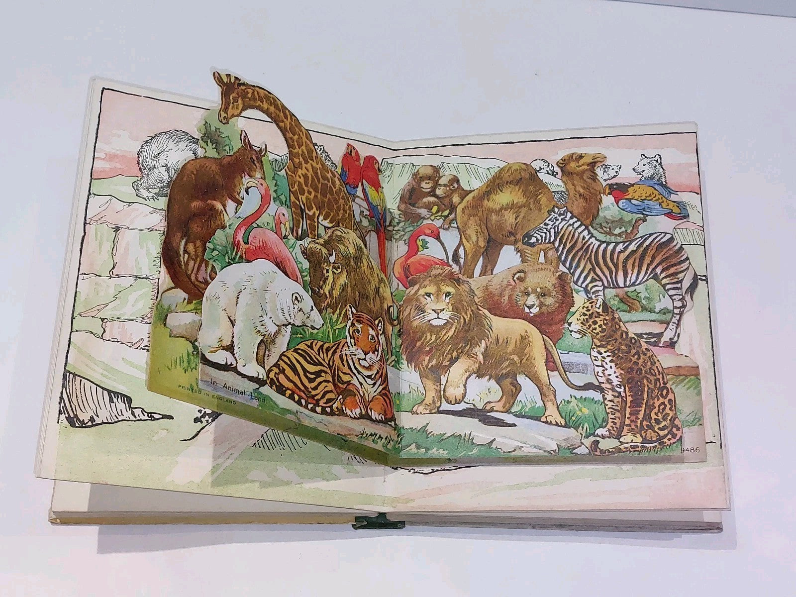Told by the Animals with "Come to Life" Pop up Panorama Illustrater Edwin Noble6