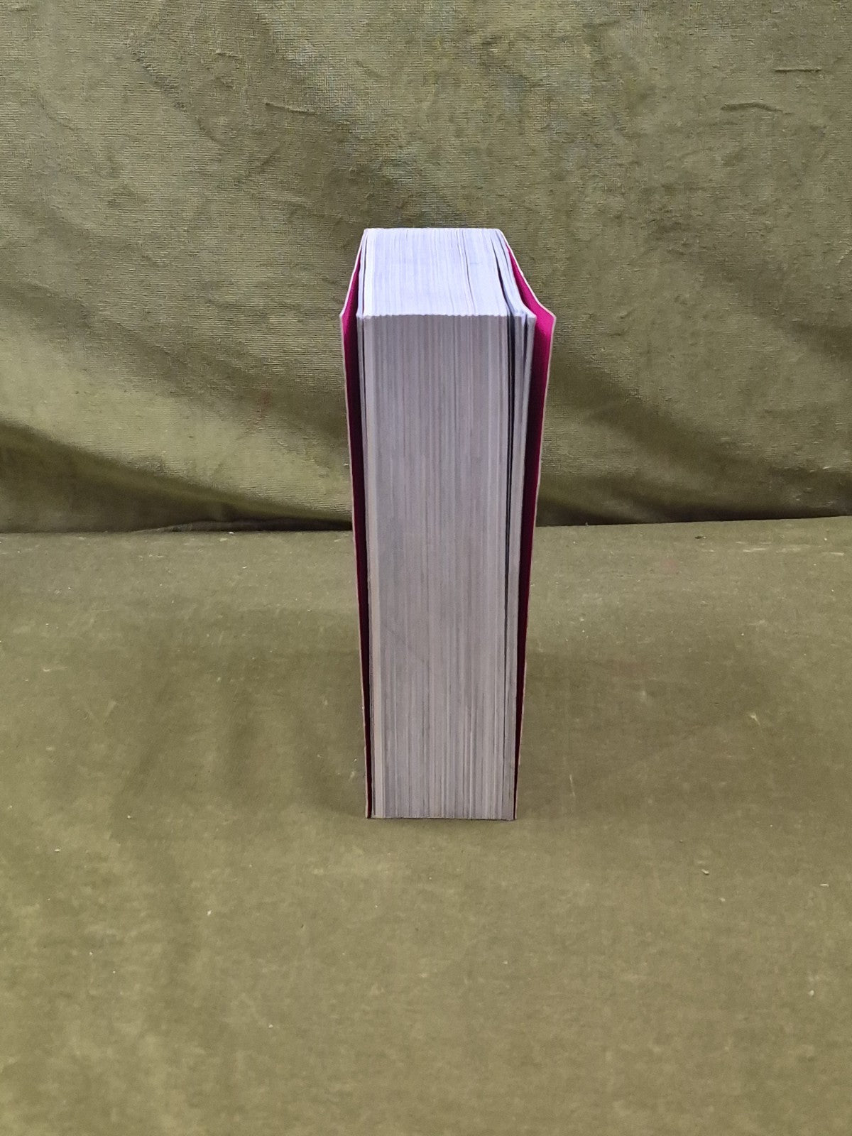 TASCHEN Cheesecake: The Rotenberg Collection 19995