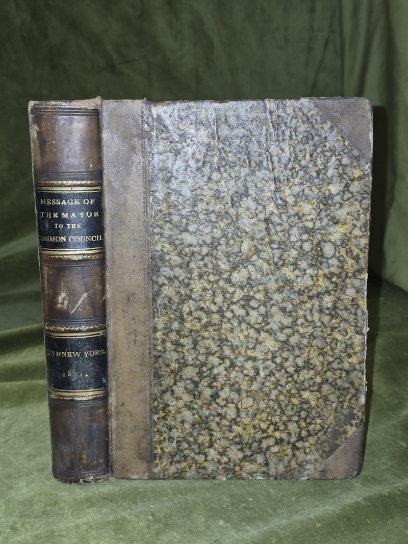 Message of the Mayor to the Common Council of the City of New York 18710