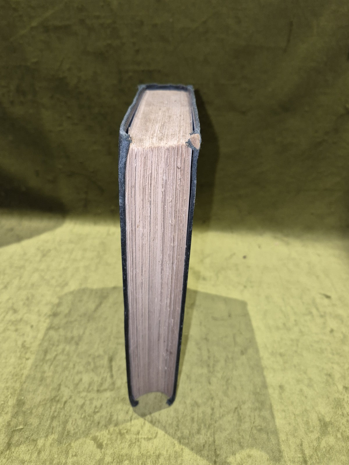 The Aryan Household its Structure and its Development, William Edward Hearn 18789