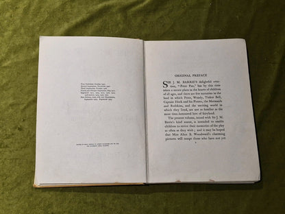 The Peter Pan Picture Book -1925 Vintage HC- Alice B Woodward & Daniel O'Connor8