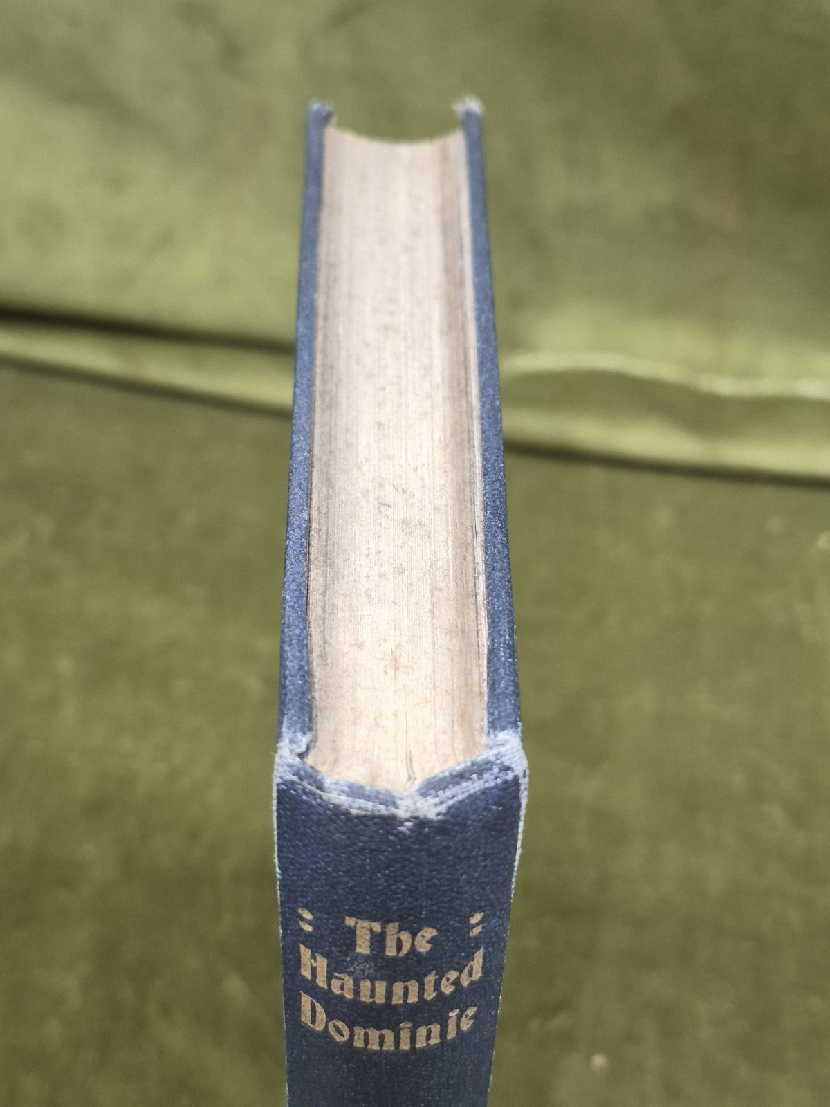 The Haunted Dominie And Other Poems By George Blair 1922 First Edition2