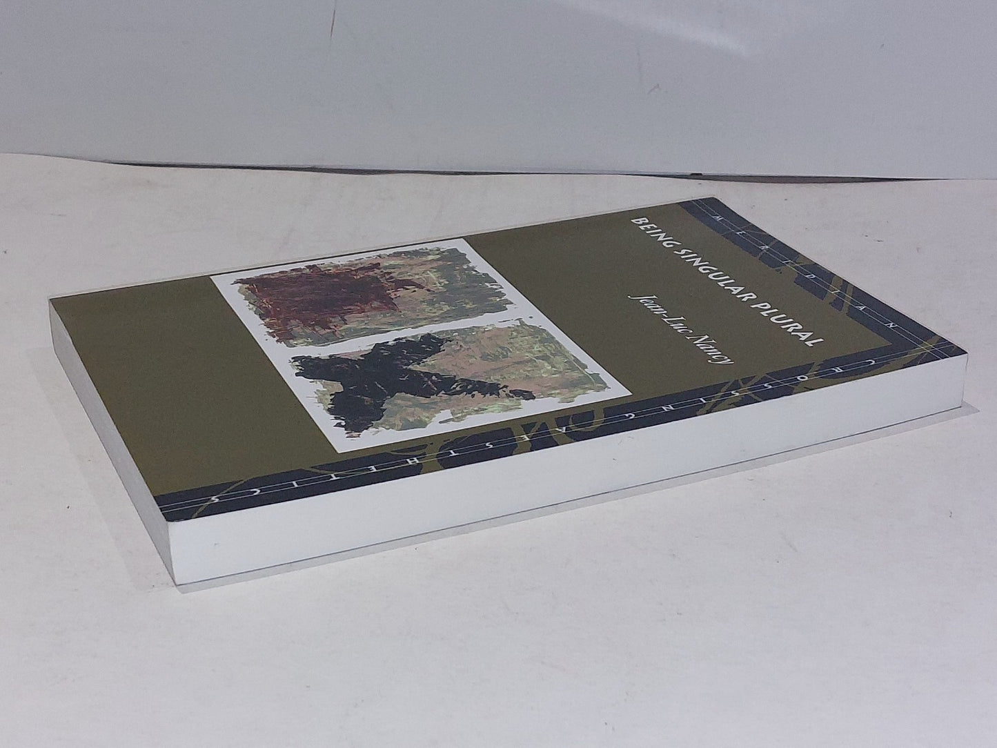 Being Singular Plural by JeanLuc Nancy (2000)3