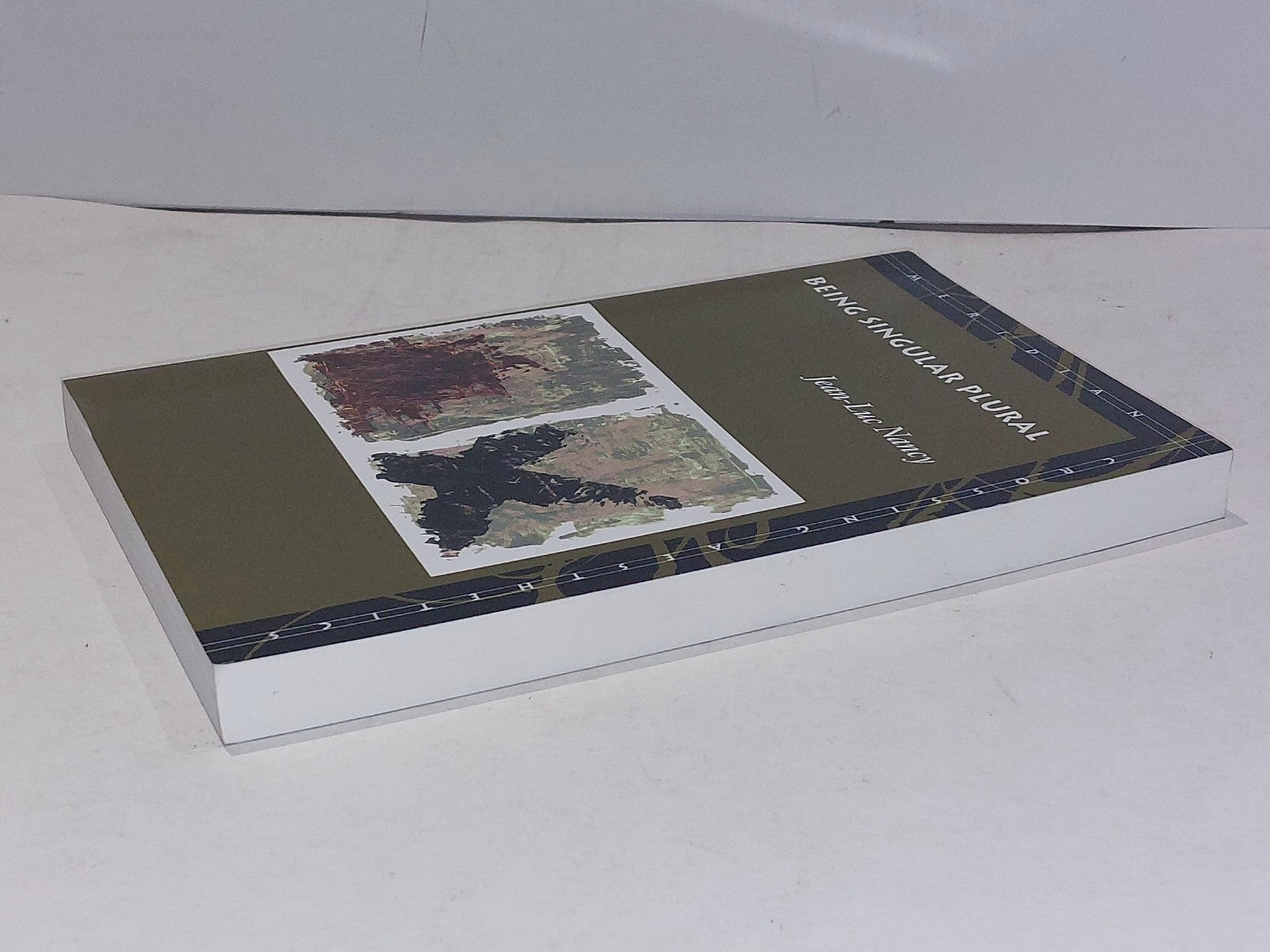 Being Singular Plural by JeanLuc Nancy (2000)3