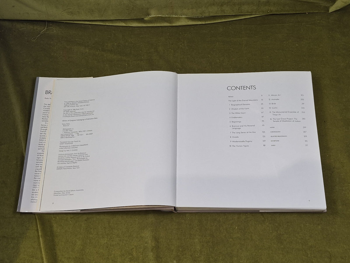 Brancusi by Radu Varia Revised Edition Rizzoli 1986 Hardcover W/ Dust Jacket4