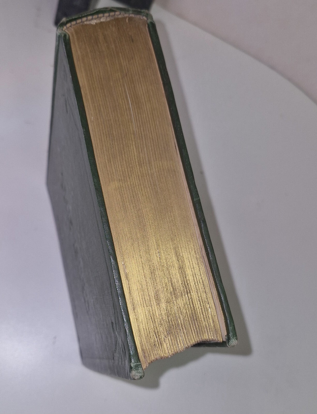 The Bird Its Form And Function By C. William Beebe 19075