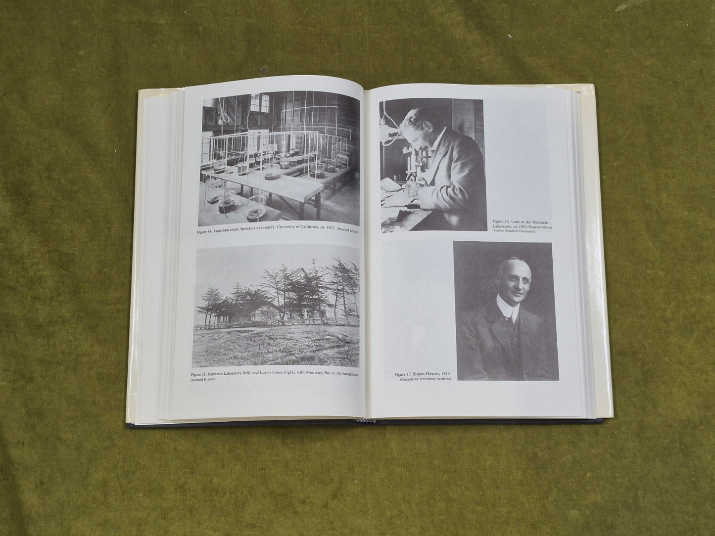 Controlling Life : Jacques Loeb - Philip J Pauly , Oxford 1987 HB DJ5