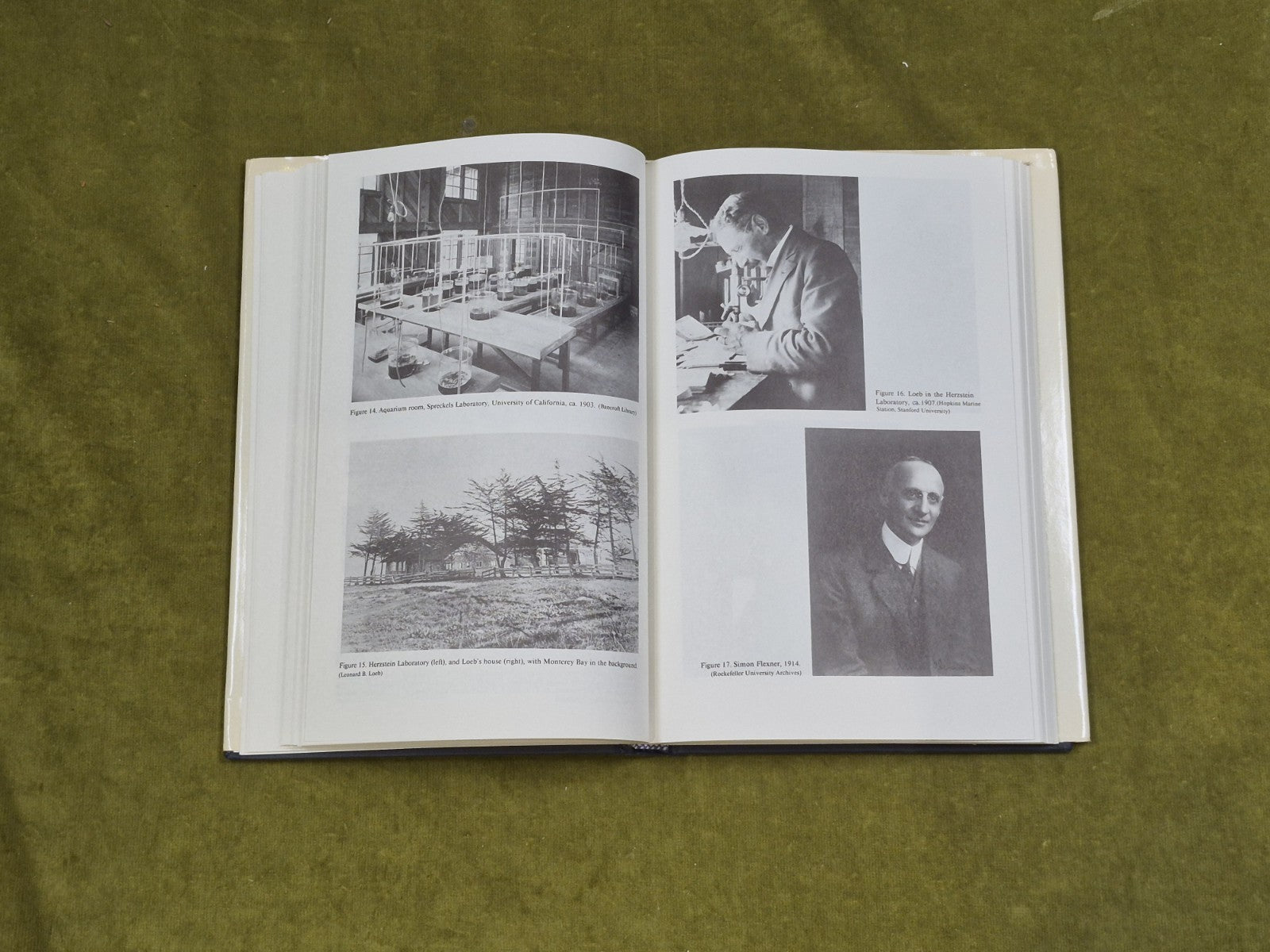 Controlling Life : Jacques Loeb - Philip J Pauly , Oxford 1987 HB DJ5