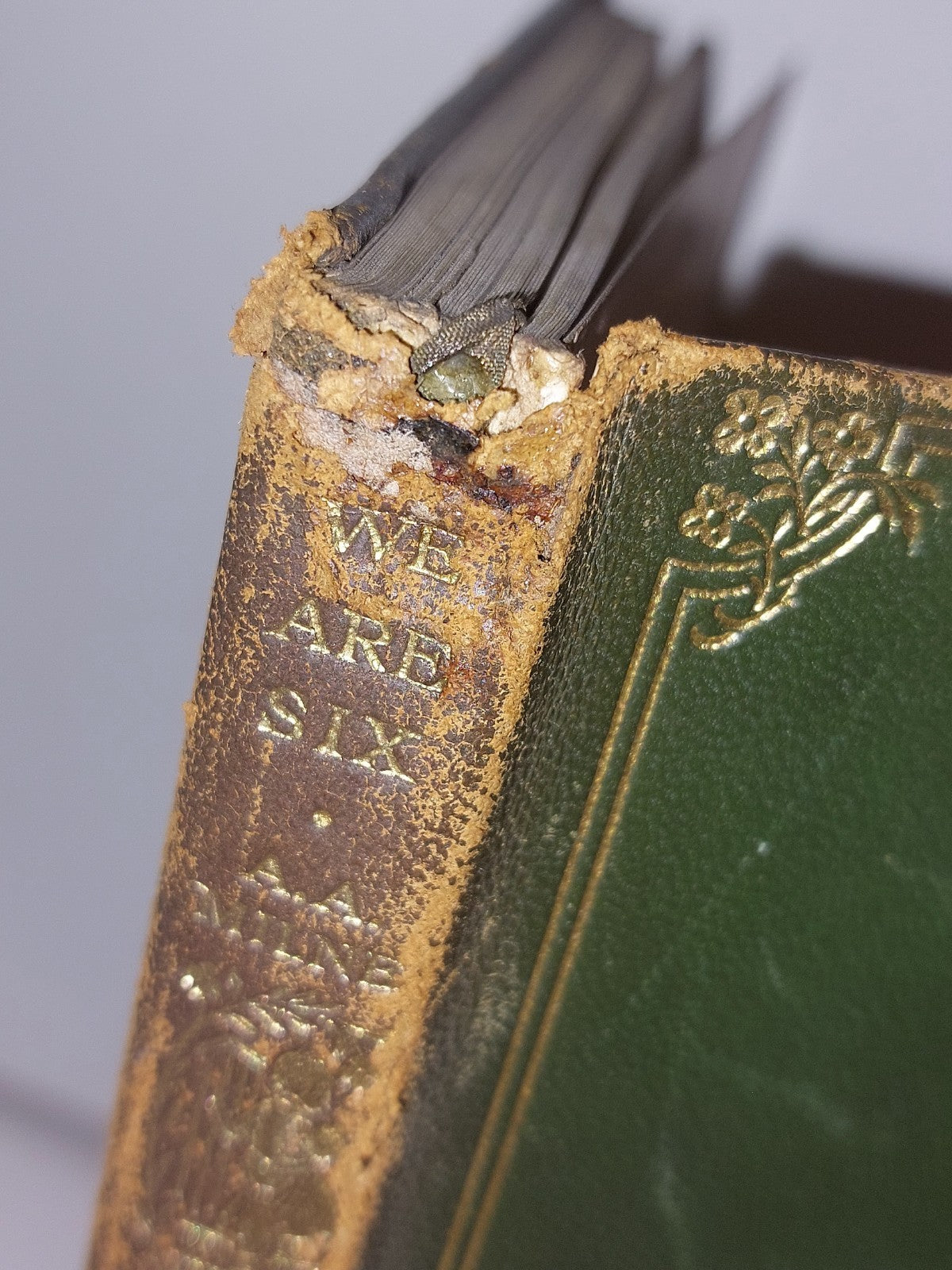 Now We Are Six By A A Milne illustrated E H Shepard De Luxe 1st ed (1927)2