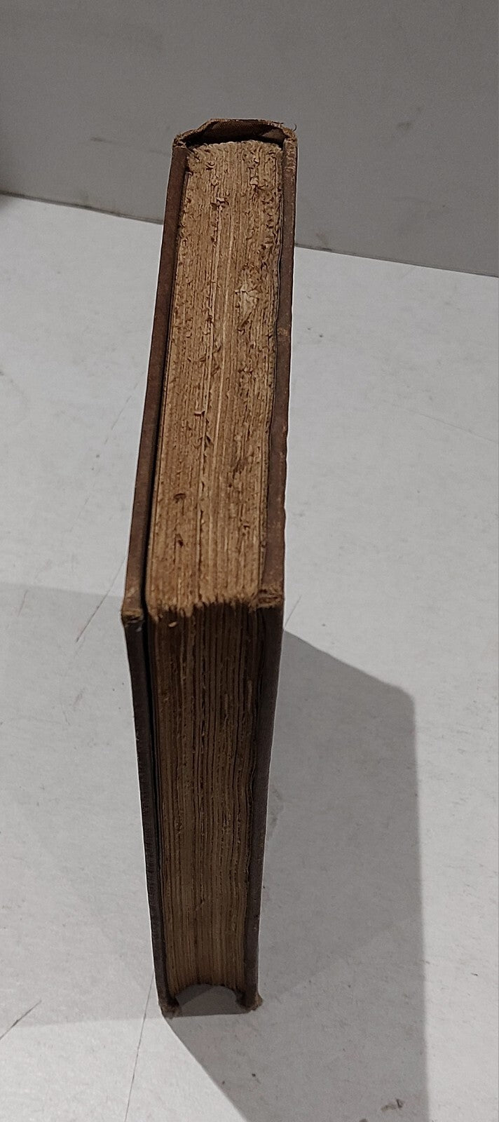 Anglers' Evening (1880) 1st Edition Manchester Anglers' Association 1