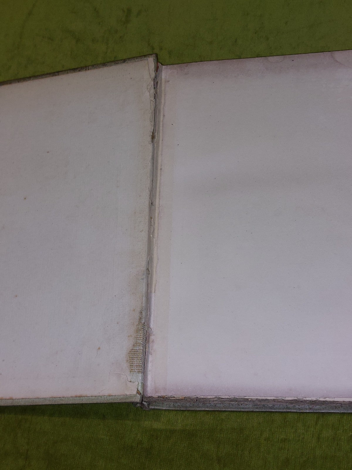 Glasgow Public Parks By Duncan M'Lellan (1894) [John Smith] Hb Book2