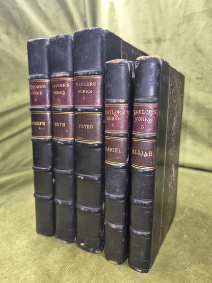 Rev William M Taylor Bible Biographies Set Joseph Ruth Elijah Daniel Peter0