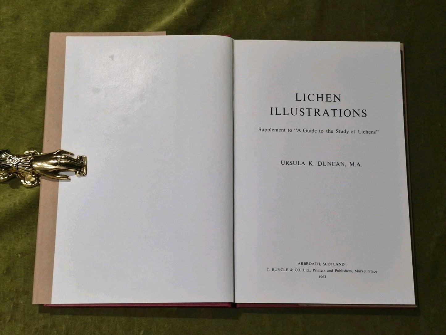 Lichen Illustrations & A Guide to the Study of Lichens1