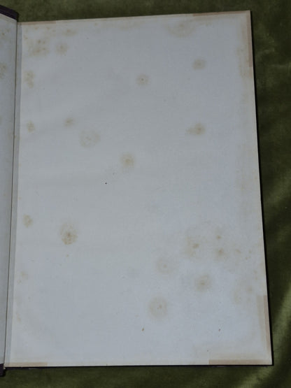 The Pictorial Edition David Livingston Fullarton c1880 Complete Two Volumes10