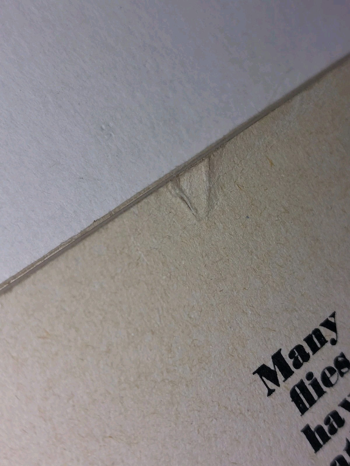 Many Flies Have Feathers By Ivor Cutler (1973) 1st Ed [Trigram Press] Pb Book2