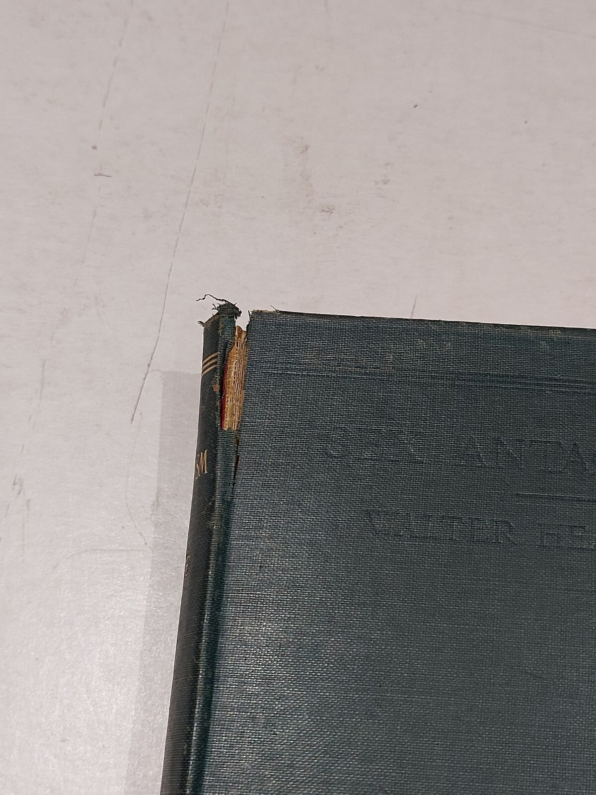 Antiquarian Book, Sex Antagonism By Walter Heape (1913) Hardback2