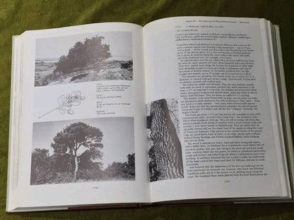 TREES OF SOUTH AFRICA by Eve Palmer/Norah Pitman 1972 Volume 3 Only5