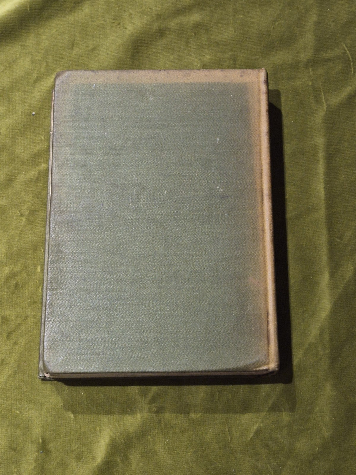 Animal Heroes Ernest Thompson Seton 1905 1st Edition Illustrated HC2