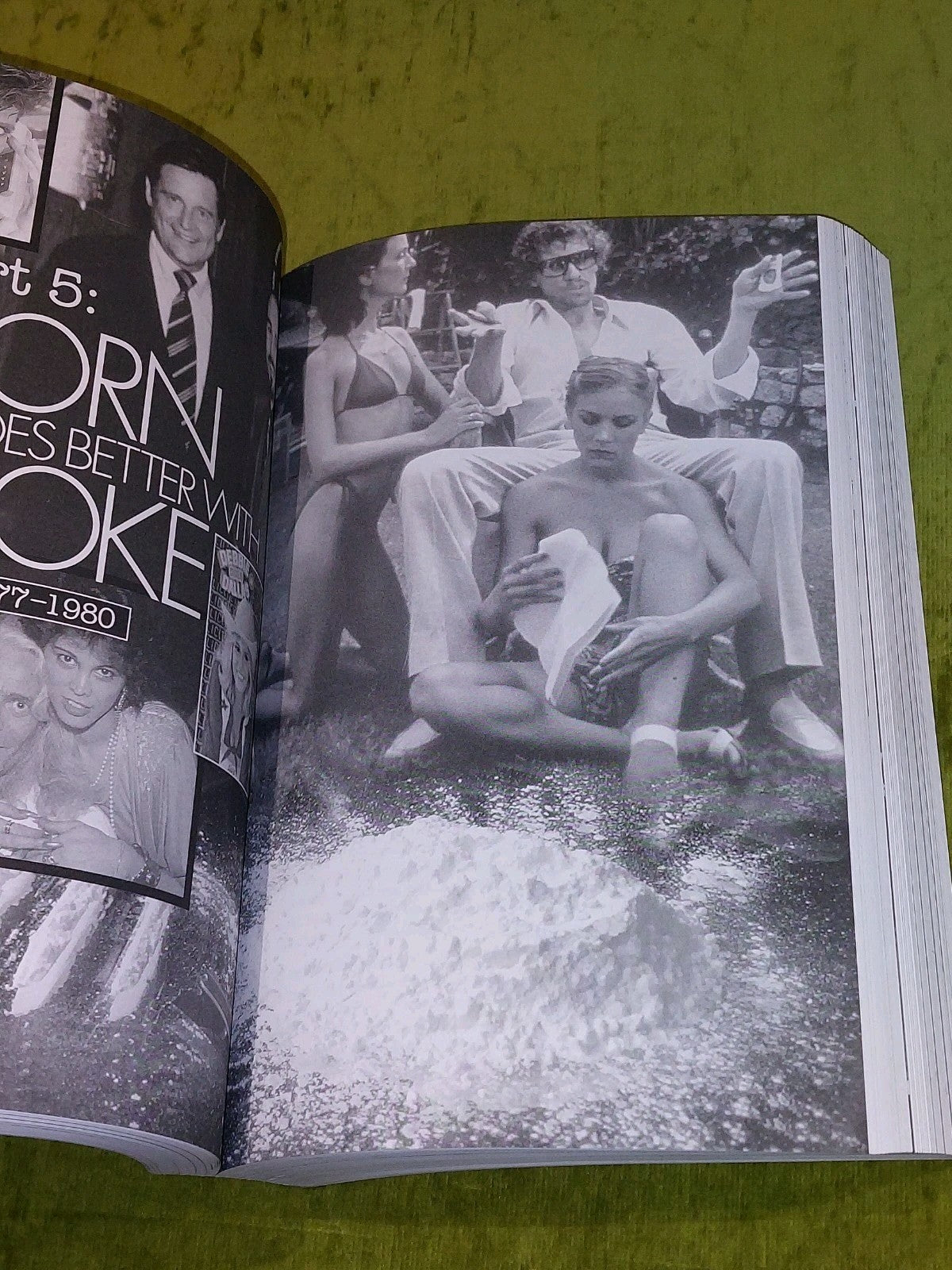 The Other Hollywood By L McNeil & J Osborne (2006) [Regan Books] Pb5