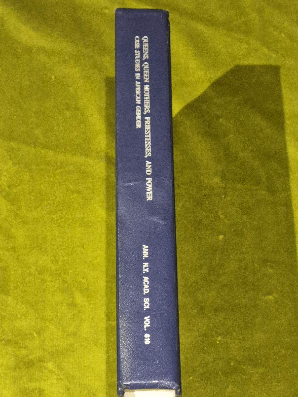 Queens, Queen Mothers, Priestesses, and Power - Flora Edouwaye S Kaplan HB2