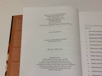 The Irish Stage: A Legal History: 24 (Irish Legal History Society Series) 20155