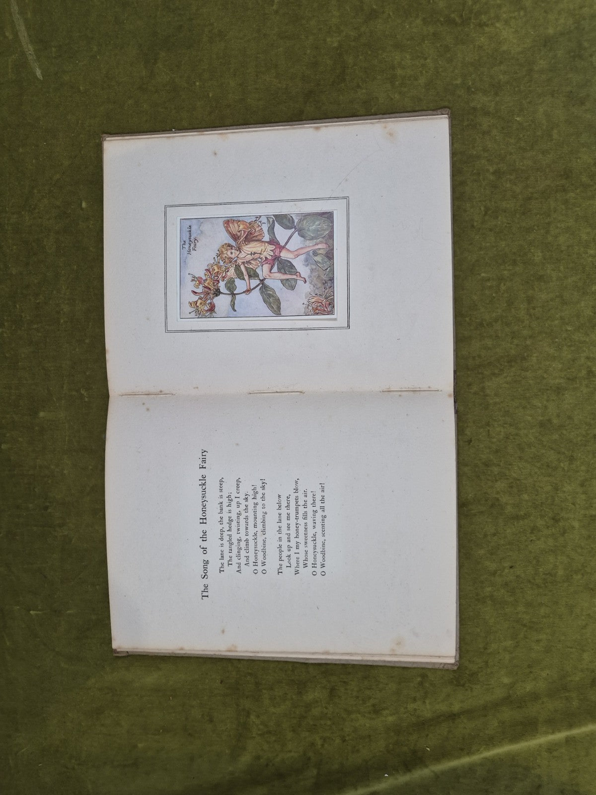Flower Songs of the Seasons with music - Cicely Mary Barker, Illustrated7