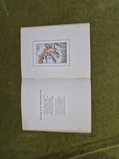 Flower Songs of the Seasons with music - Cicely Mary Barker, Illustrated7