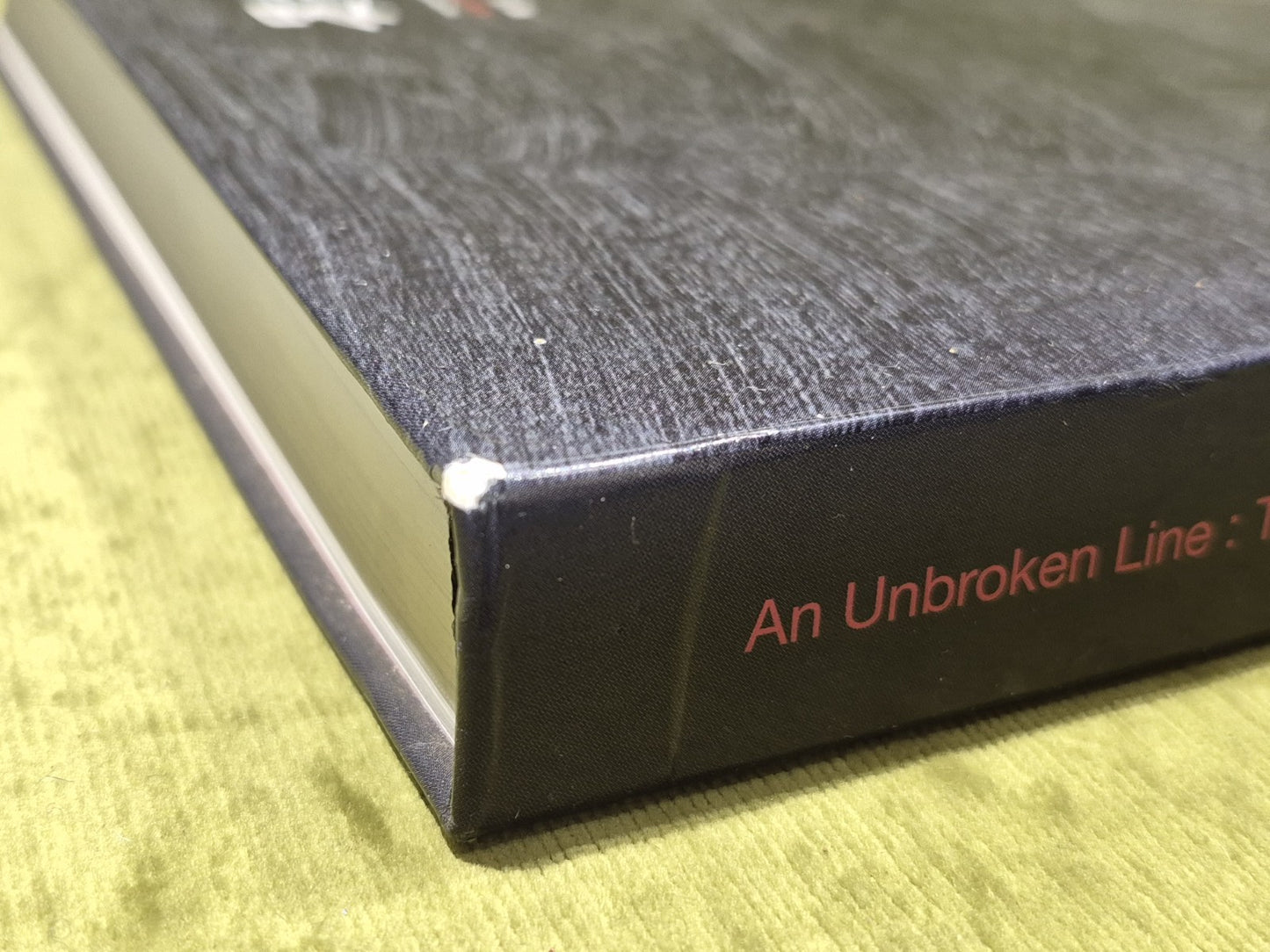 An Unbroken Line : Wu Guanzhong Donation Collection [SAM] (2006) Pb Book2