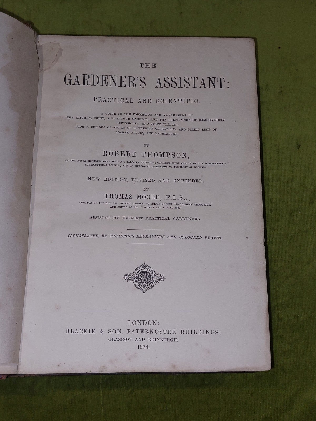 The Gardener’s Assistant Practical and Scientific Gardening 1878 Thompson Moore5