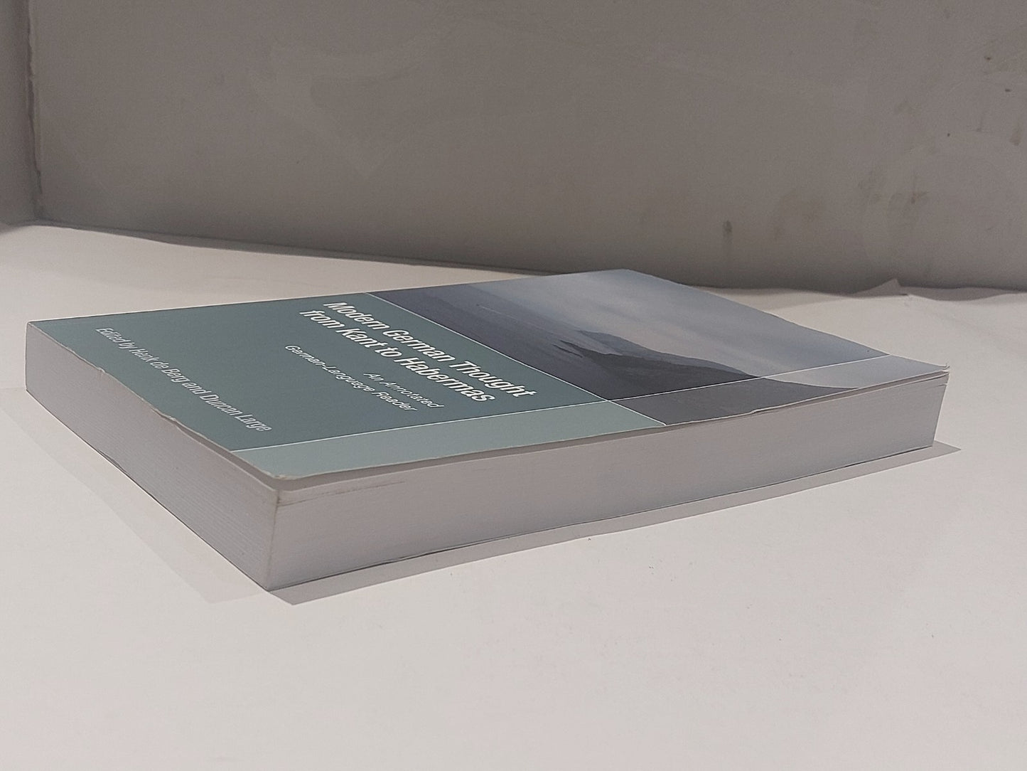 Modern German Thought from Kant to Habermas [Camden House] (2012) Pb Book3