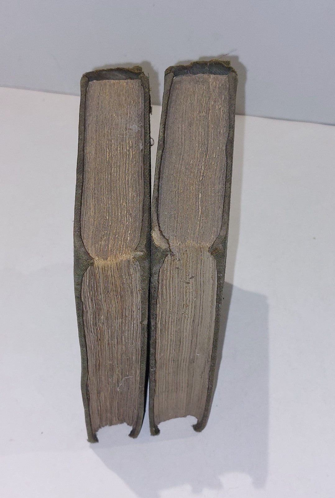 1856 - The Vision and Creed of Piers Ploughman -William Langland - 2 Volumes HB1