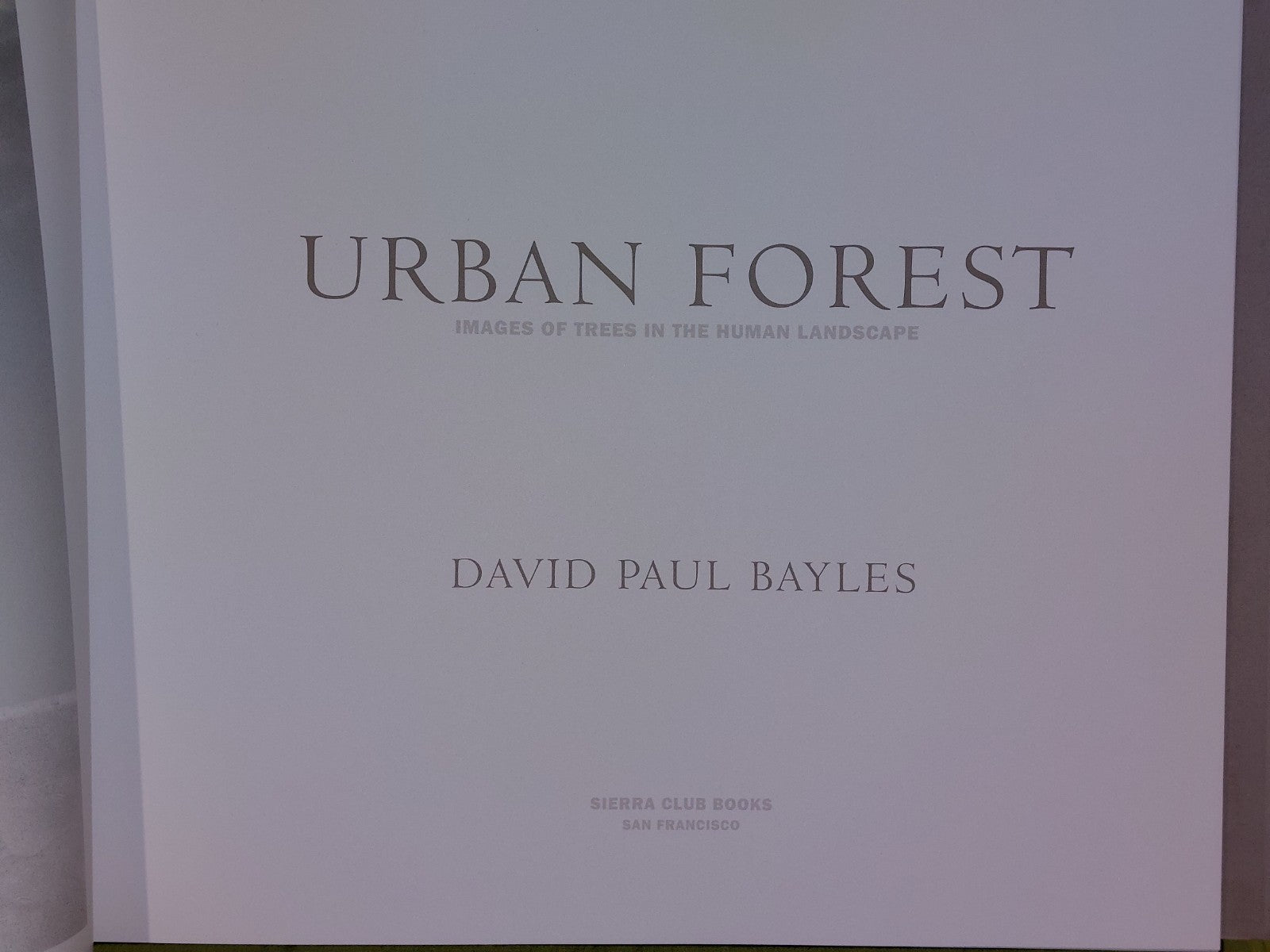 Urban Forest (2003) David Paul Bayles4