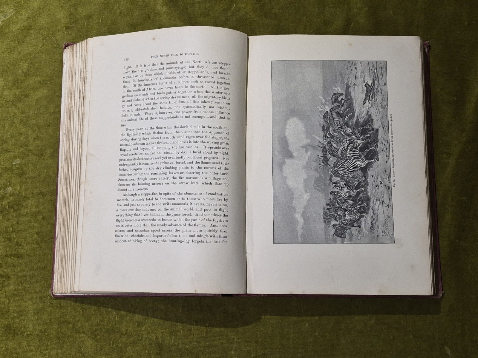From North Pole To Equator Wild Life And Scenes In Many Lands - Brehm 1st 18977