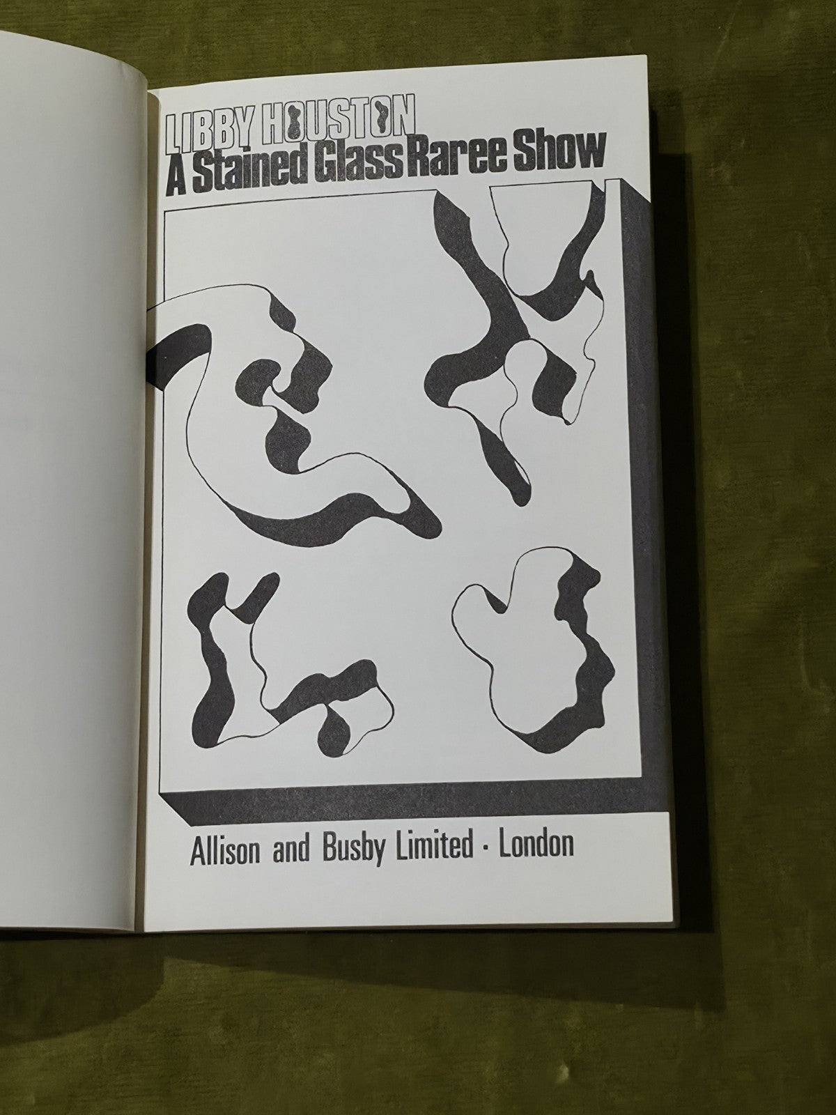 Libby HOUSTON / A Stained Glass Raree Show 1st Edition 19673