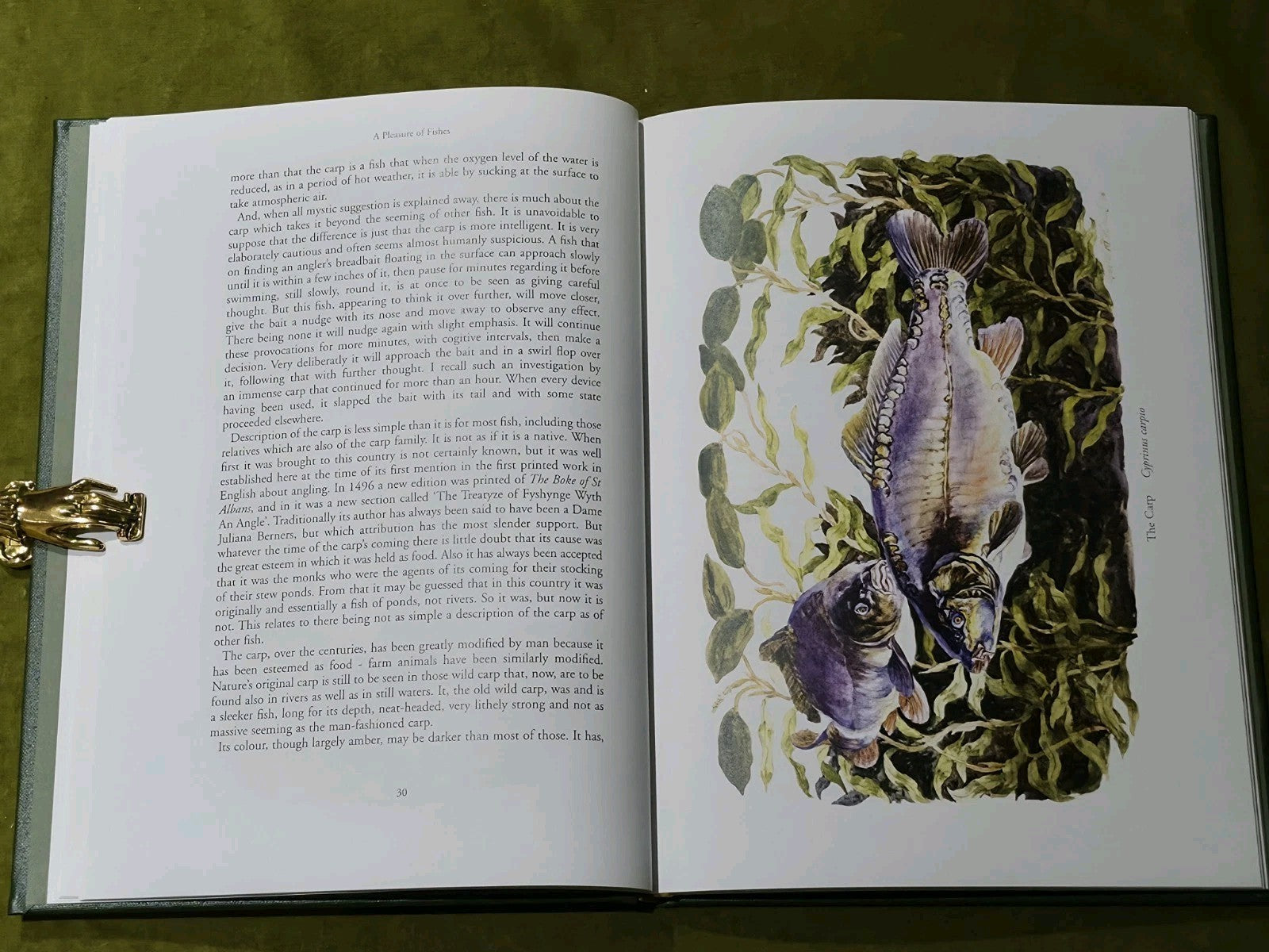 VENABLES BERNARD ILLUSTRATED FISHING BOOK PLEASURE OF FISHES hardback LIMITED5