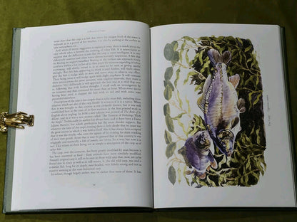 VENABLES BERNARD ILLUSTRATED FISHING BOOK PLEASURE OF FISHES hardback LIMITED5