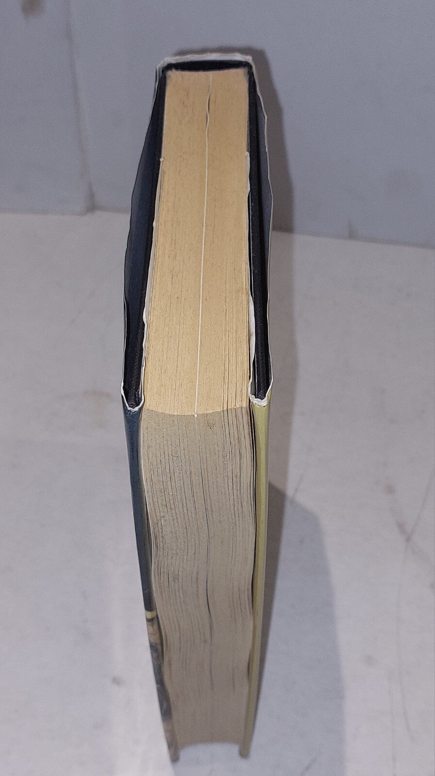Places of the Mind: Life and Work of James Thomson - Leonard, Tom (1993) Hb Book4