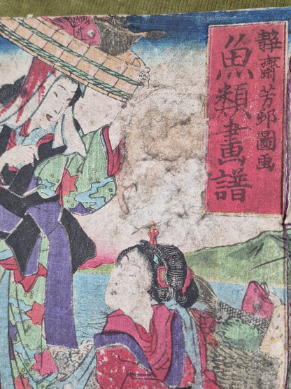 Seisai Yoshimura Utagawa 歌川芳邨 Ohashido Fish Book gyorui syo 魚類書譜大橋堂板 Woodblock5