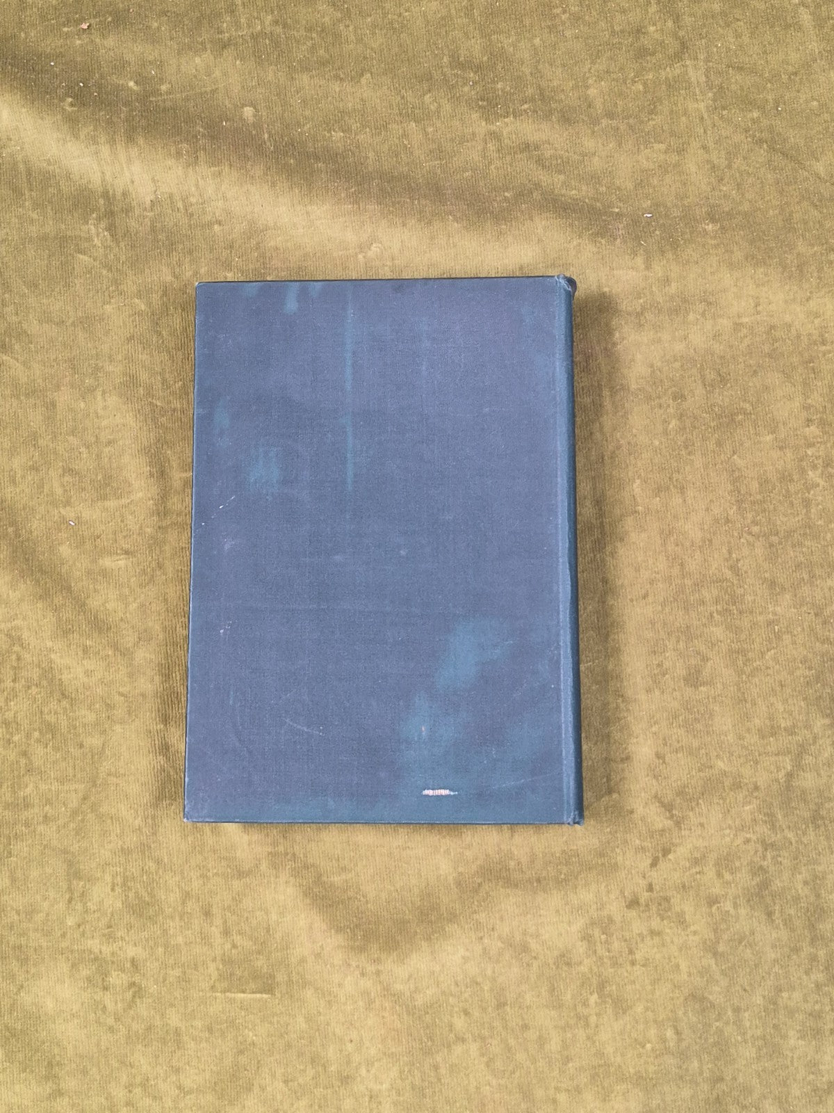 Garden Wisdom from one generation Stephen Gwynn 1st 1921 Talbot Press HB DJ1