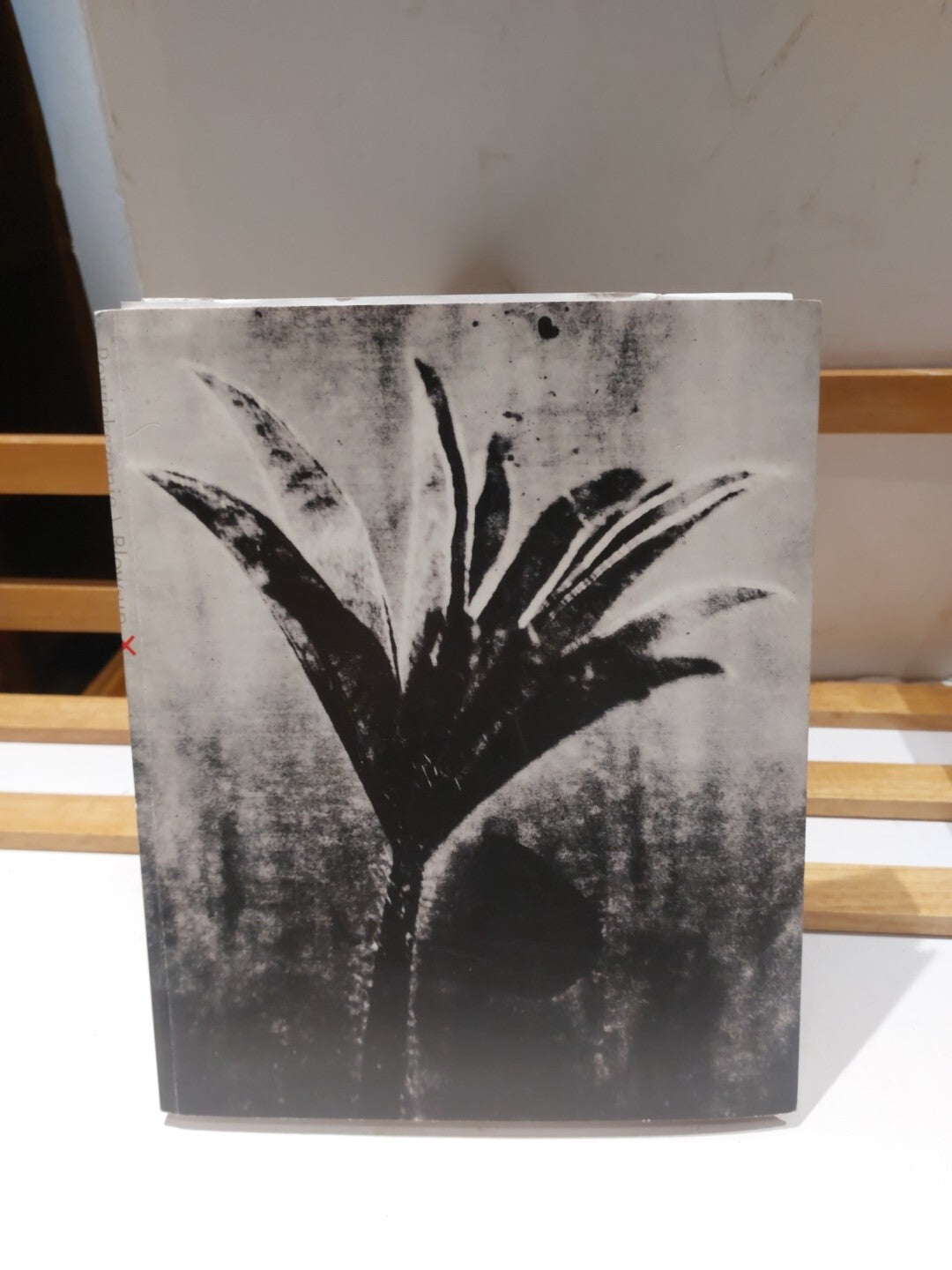 Powiekszenie BlowUp: Photographs in the Time of Tumult; Latarnik (2002)0