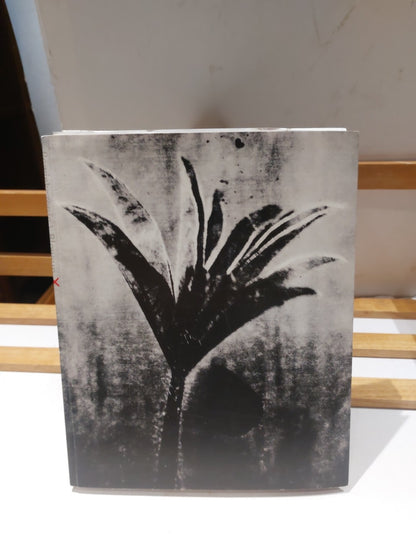 Powiekszenie BlowUp: Photographs in the Time of Tumult; Latarnik (2002)0