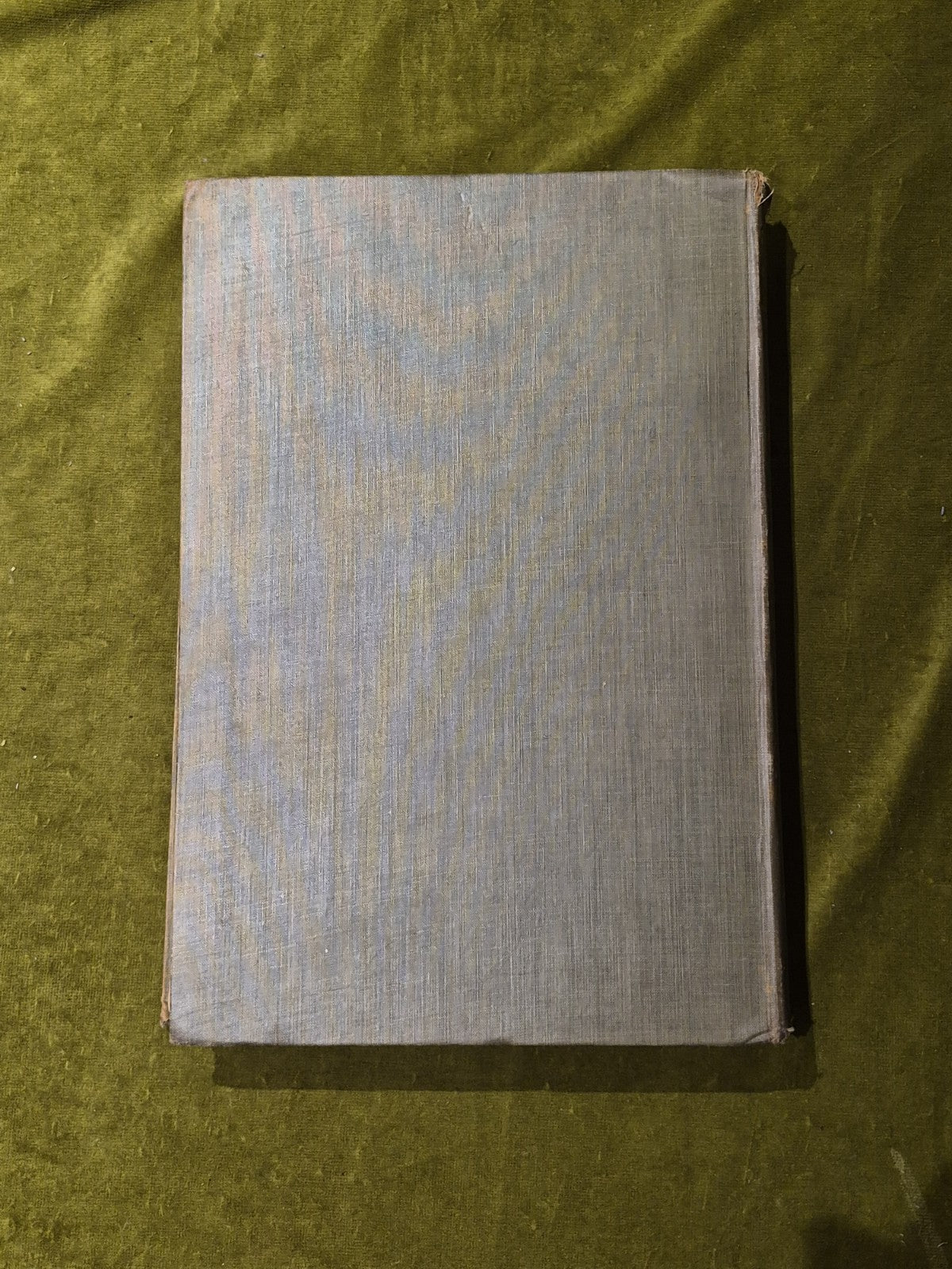 Sandro Botticelli and his School - Count Plunkett - Bell 1900 HB1