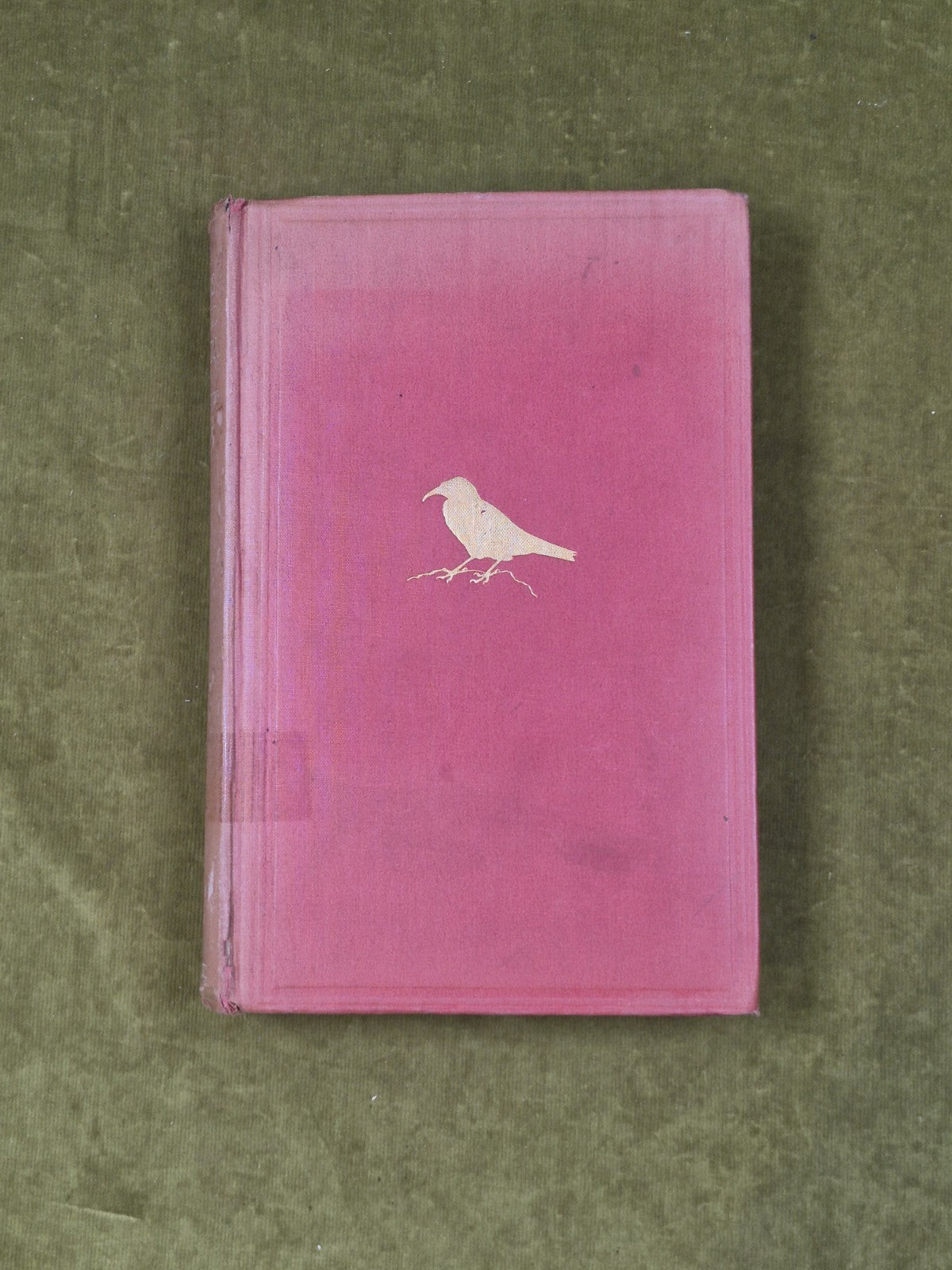 The Birds of the Riviera - Collingwood Ingram , Witherby 1926 HB Ex Lib1