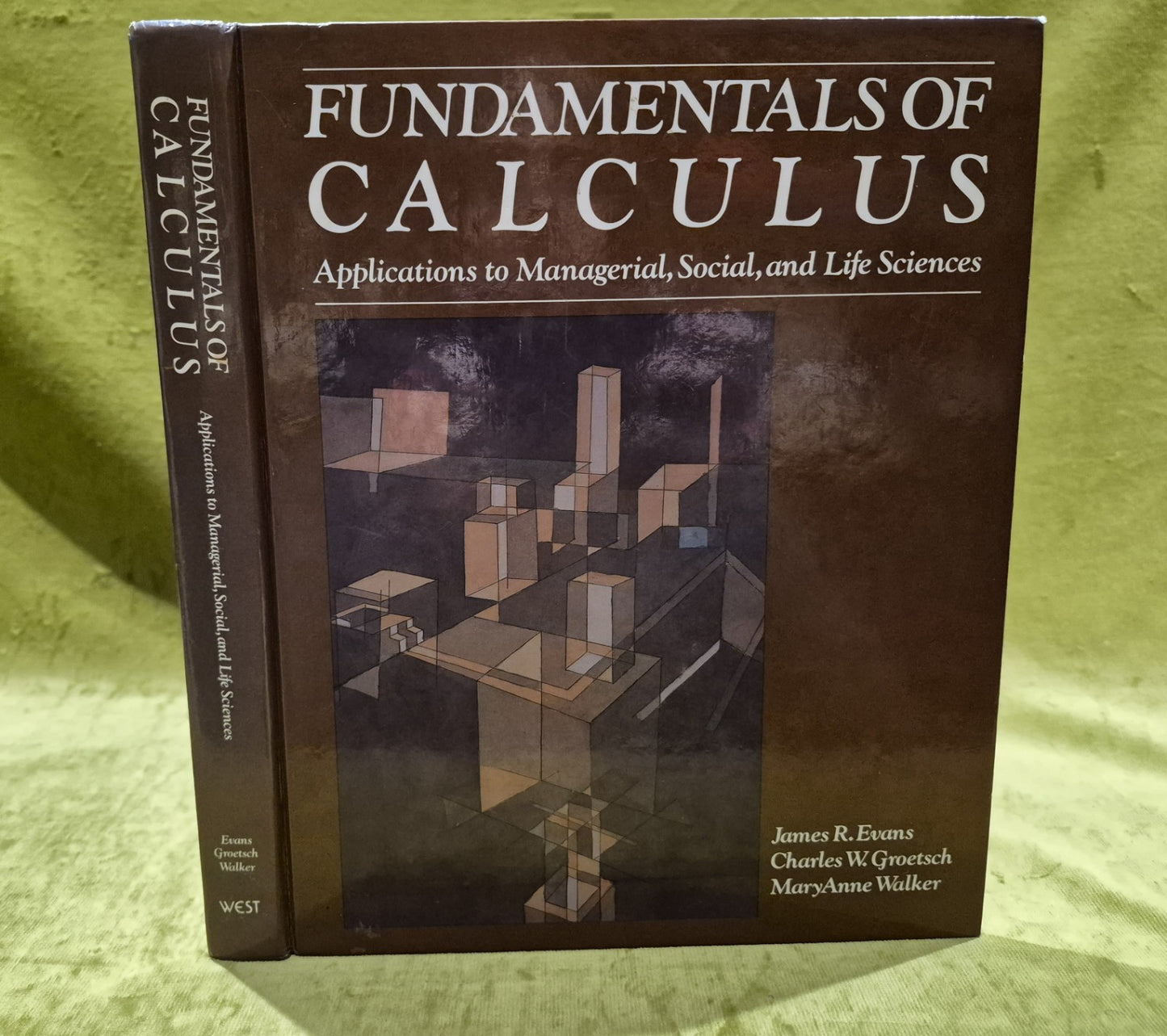 Fundamentals of Calculus: Applications to Managerial, Social, and Life Sciences1